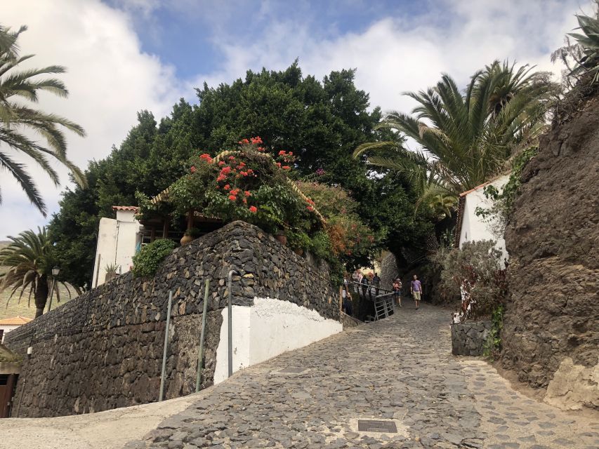 Tenerife: Mount Teide, Masca, Icod and Garachico Day Trip - Why the guide and driver matter