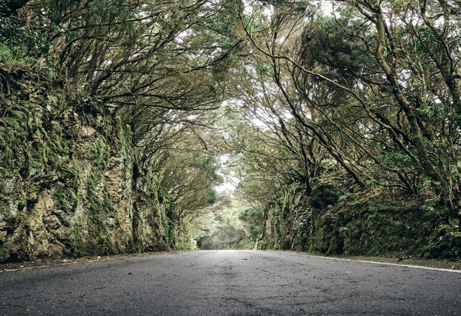 Tenerife: Private Taganana and Anaga Day Trip with Pickup - Timing, food, and practical comfort