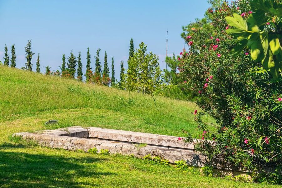 Thessaloniki: Vergina and Pella Day Trip - The New Museum of Aigai