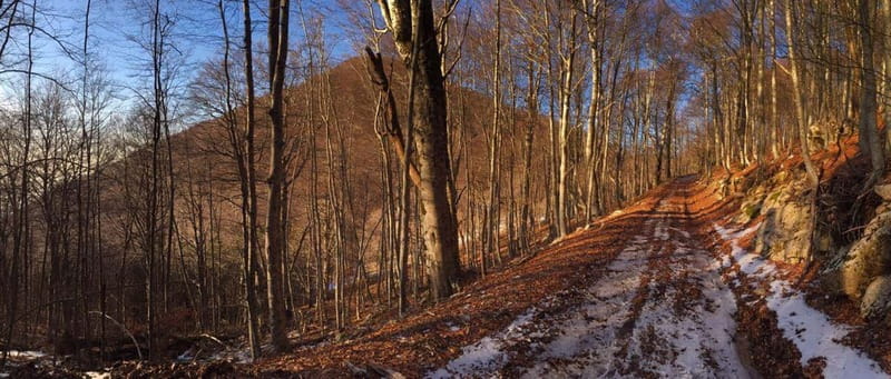 Tirana: Dajti Mountain Half-Day Trip with Cable Car Ticket - Picnic or mountain restaurant