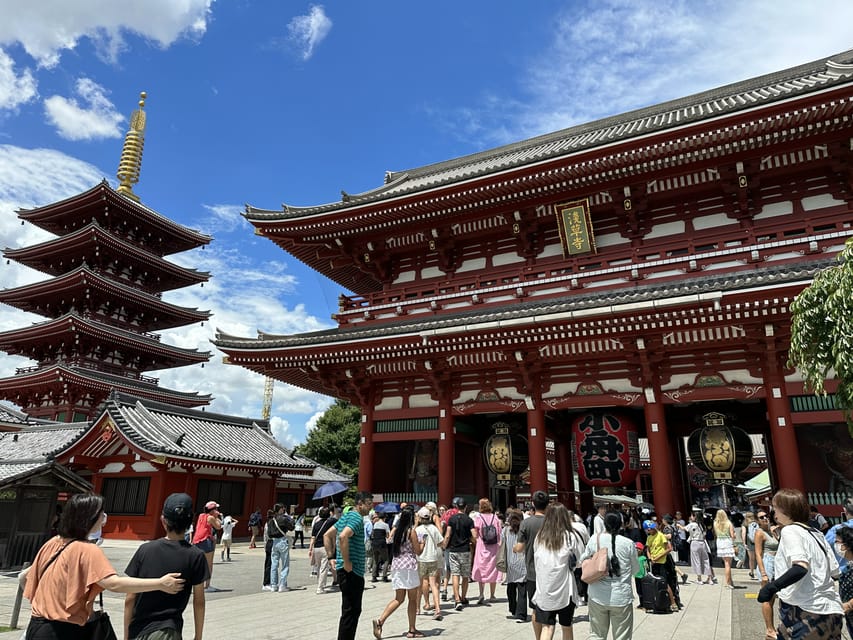 Tokyo: A Half-Day Trip Bus Tour in the Morning - Key points to know before booking