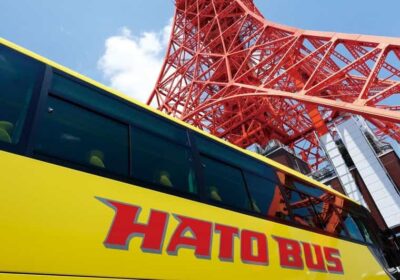 Tokyo: A Half-Day Trip Bus Tour in the Morning