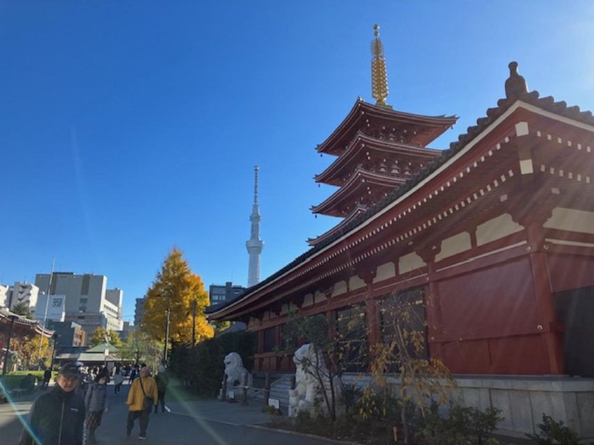 Tokyo: A Half-Day Trip Bus Tour in the Morning - When this tour is good value