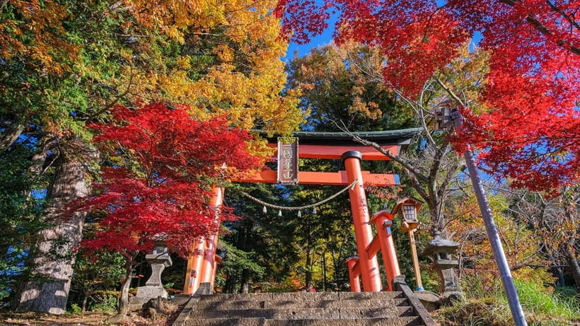 Tokyo: Mount Fuji 5th Station & Onsen Day Trip - Who should book this experience