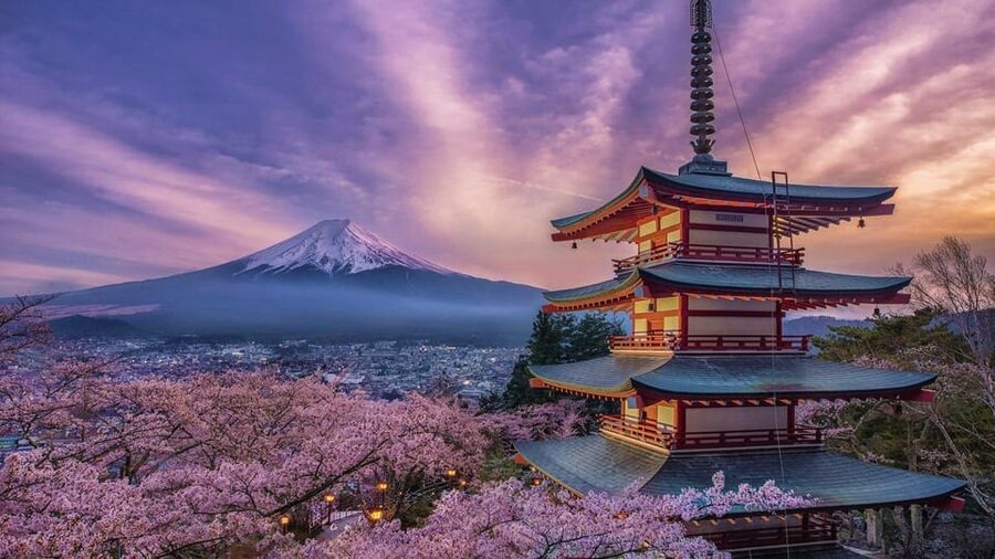 Tokyo: Mount Fuji and Hakone Private Sightseeing Day Tour - Kitaguchi Hongu Fuji Sengen Shrine beneath old cedars