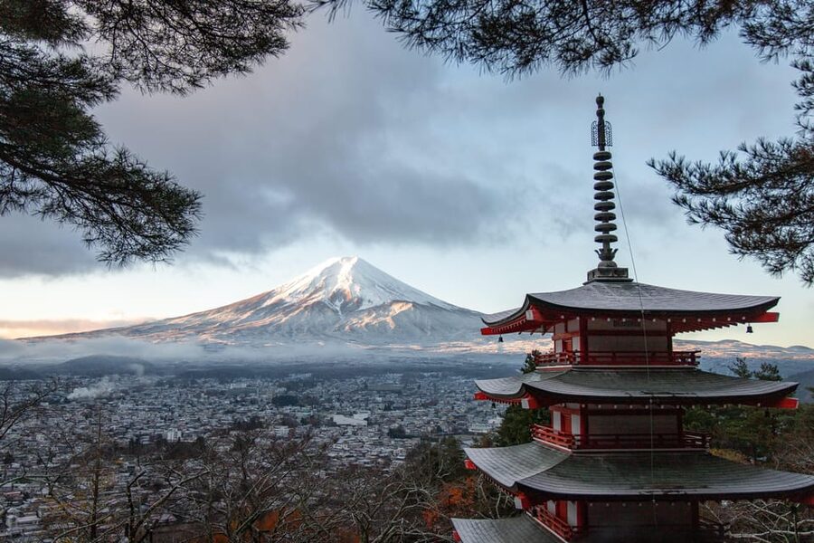 Tokyo: Mount Fuji and Hakone Private Sightseeing Day Tour - Hakone Ropeway and the sulfur valley