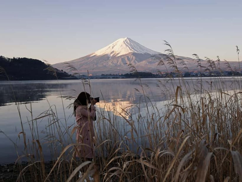 Tokyo: Mount Fuji and Hakone Private Sightseeing Day Trip - The basic choice: Fuji lakes or Hakone sights