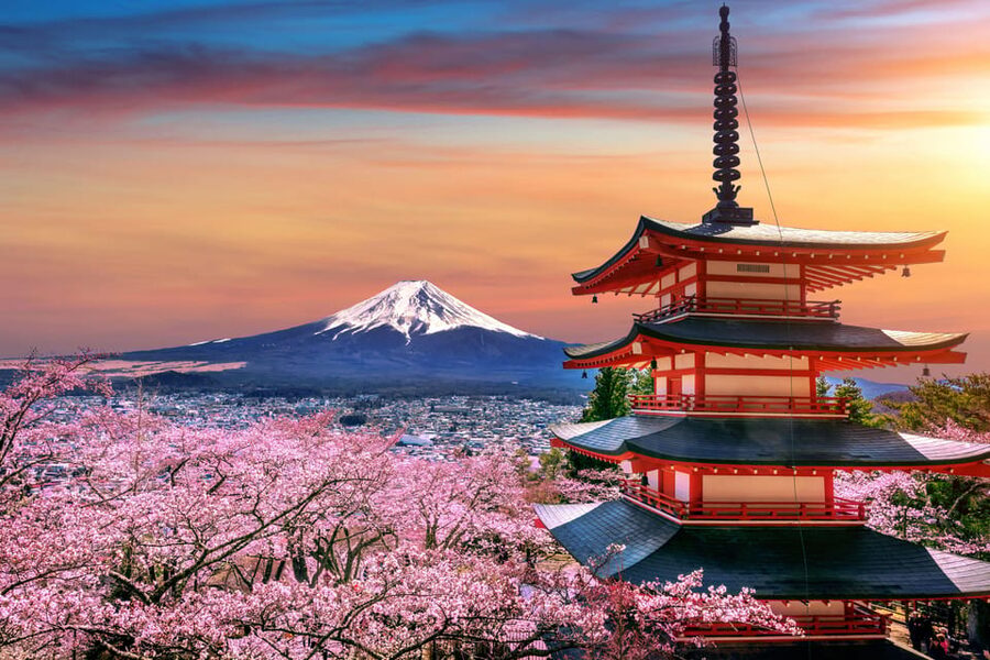 Tokyo: Mount Fuji and Hakone Private Sightseeing Day Trip - Leaving Tokyo in a private car
