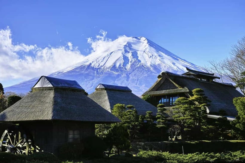 Tokyo: Mount Fuji and Hakone Private Sightseeing Day Trip - Oishi Park and the seasonal garden show