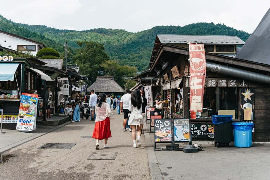 Tokyo: Mt. Fuji, Kamakura, Big Buddha, & Lake Ashi Day Trip - Oshino Hakkai’s clear spring ponds