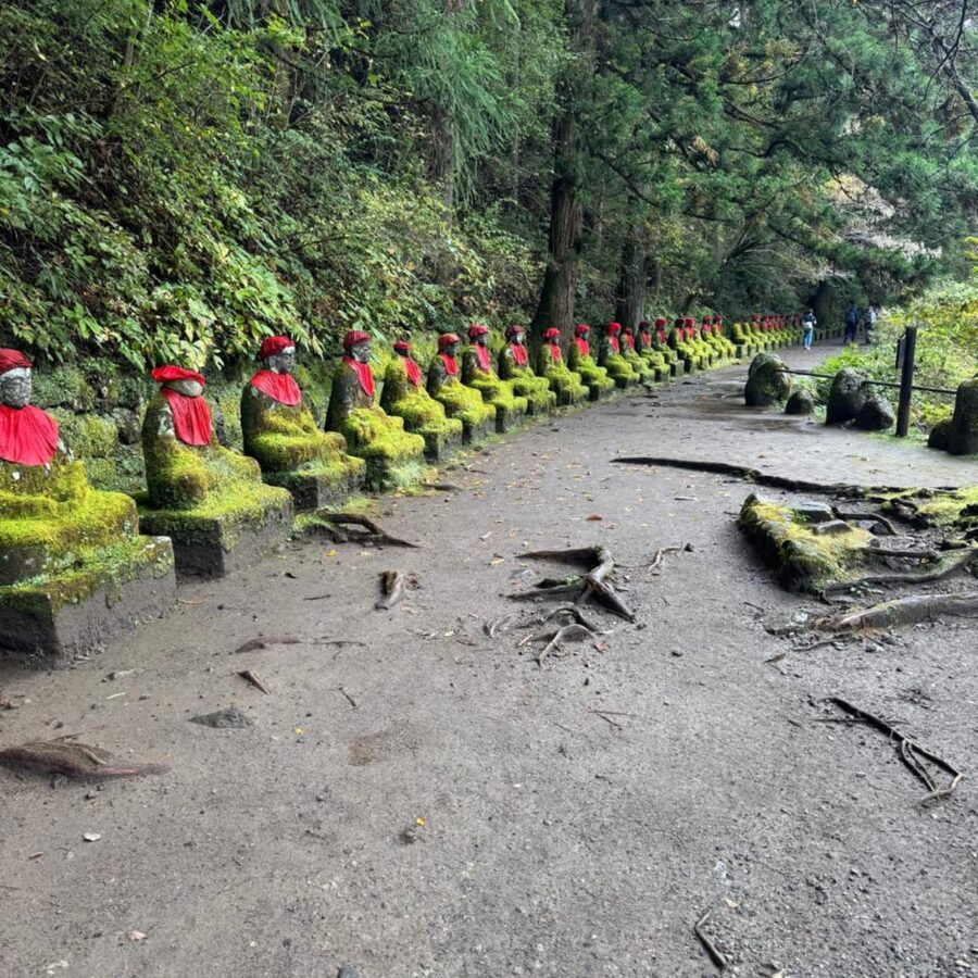 Tokyo → Nikko:Private Customizable Day Trip (English Driver) - Toshogu Shrine and the Shinkyo Bridge
