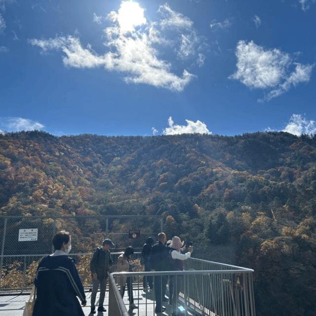 Tokyo → Nikko:Private Customizable Day Trip (English Driver) - Nikko town and Tochigi’s slower pace