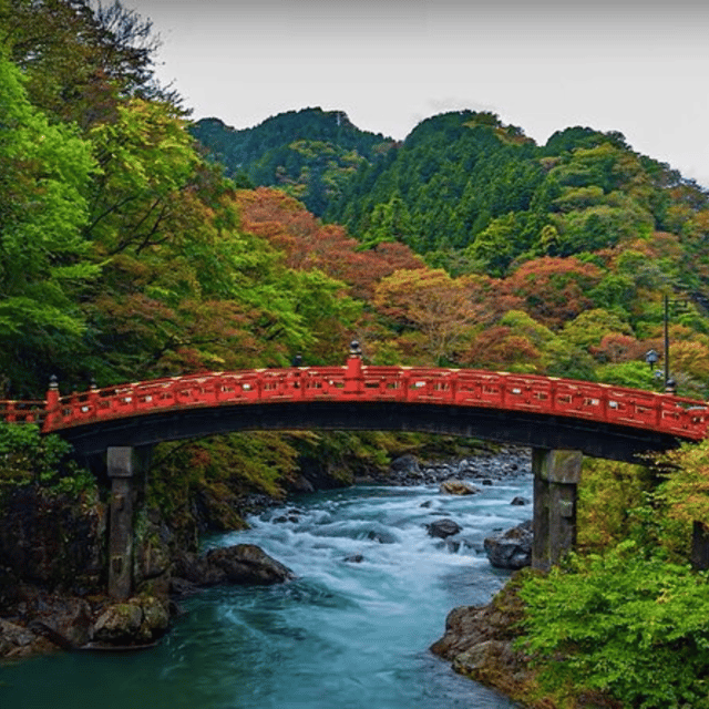Tokyo → Nikko:Private Customizable Day Trip (English Driver) - How the 10-hour schedule really works
