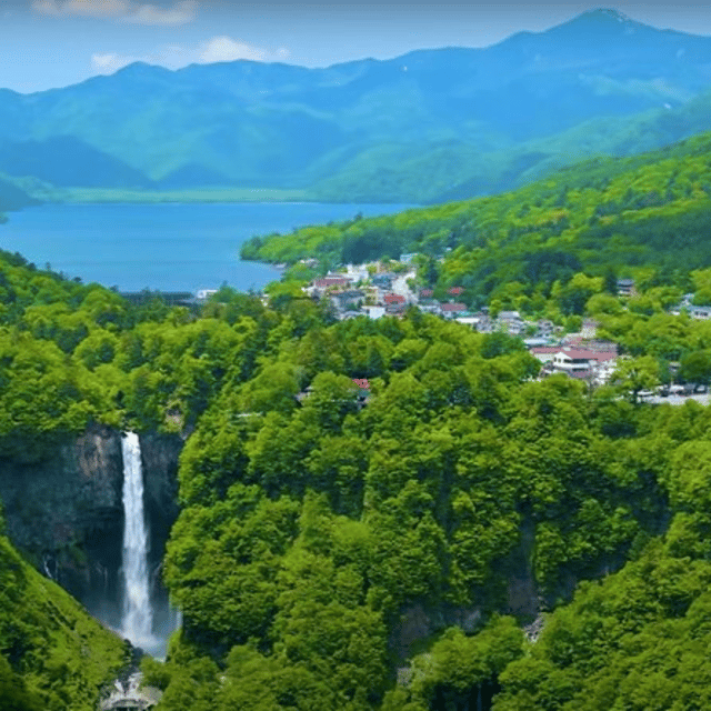 Tokyo → Nikko:Private Customizable Day Trip (English Driver) - Vehicle comfort, language, and practical details