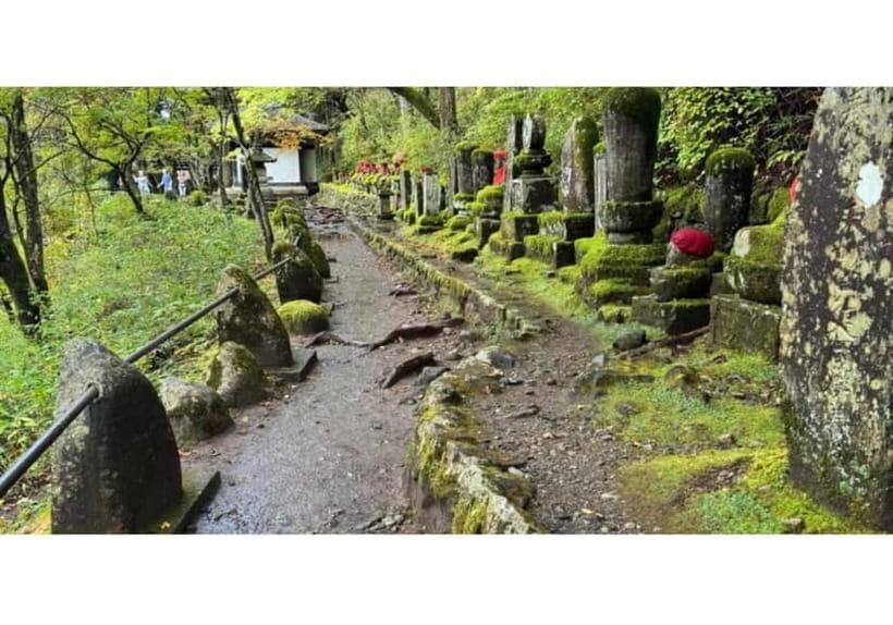 Tokyo: Nikko World Heritage Private Day Trip Hotel Pick-up - Tamozawa Villa, Edo Wonderland, and choosing your extras