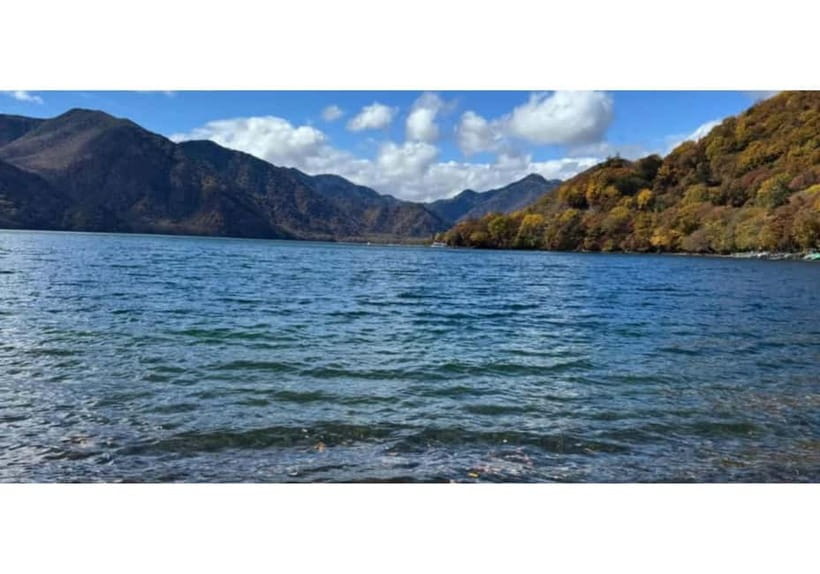 Tokyo: Nikko World Heritage Private Day Trip Hotel Pick-up - Price, comfort, and the limits of an 11-hour day