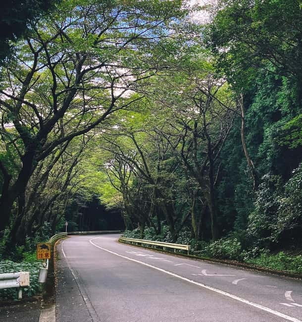 Tokyo: Onsen, Arts, and Nature Day Trip to Fuji and Hakone - Leaving Tokyo for Hakone
