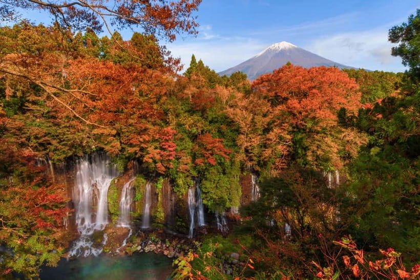 Tokyo: Onsen, Arts, and Nature Day Trip to Fuji and Hakone - The tea house option and the value of a flexible guide