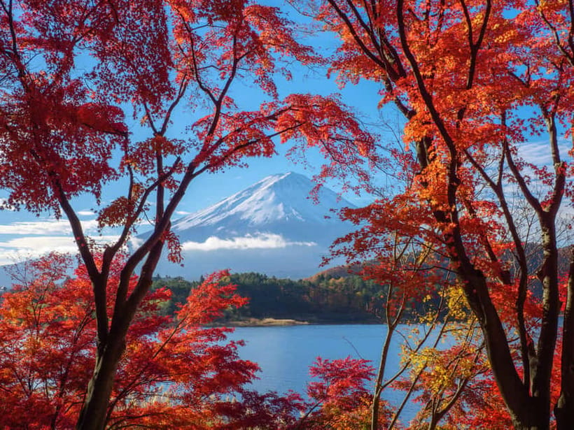 Tokyo: Onsen, Arts, and Nature Day Trip to Fuji and Hakone - Is $316 a fair price?