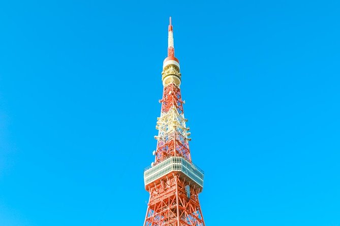 Tokyo Private Day Trip - Enjoy Your First-Time Visit to Tokyo! - Custom route or standard route?