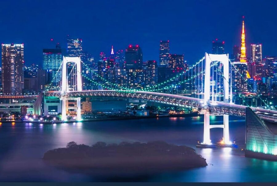 Tokyo Private Day Trip With English Speaking Driver - Tsukiji Outer Market for food and atmosphere