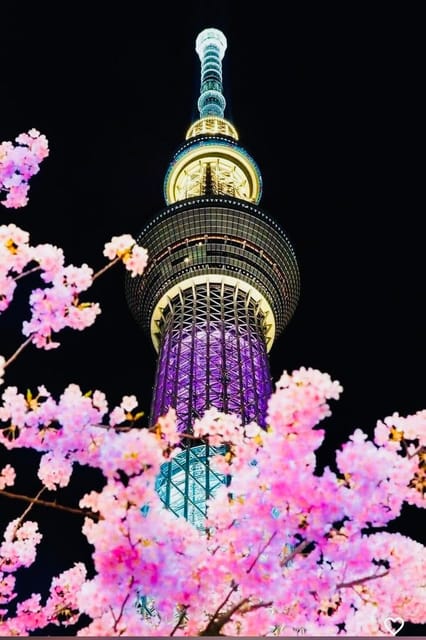 Tokyo Private Day Trip With English Speaking Driver - Shibuya Crossing and Meiji Shrine