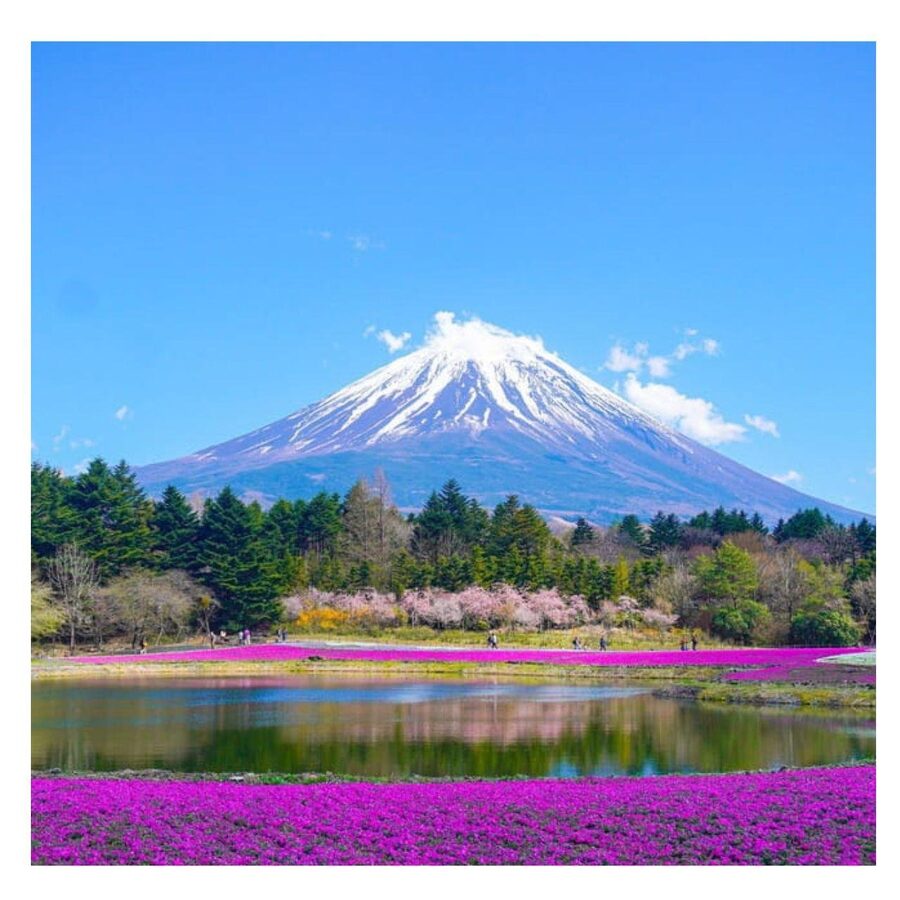 “Tokyo to Mt. Fuji & Hakone: Private Customizable Day Trip” - Lunch, tickets, and the cost of the day