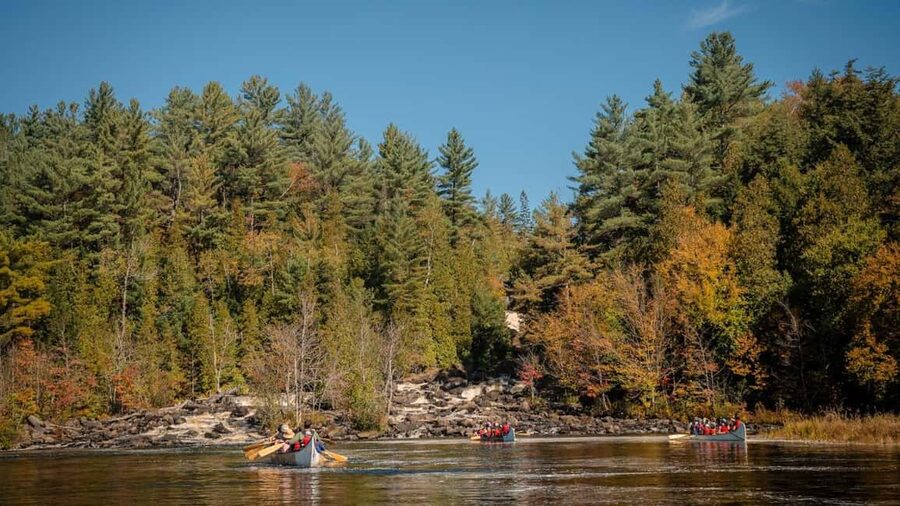 Toronto: Algonquin Park and Ragged Falls Day Trip - The 14-passenger ride to Ontario’s cottage country