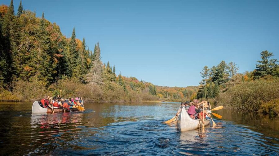 Toronto: Algonquin Park and Ragged Falls Day Trip - Canoeing and the force of Ragged Falls