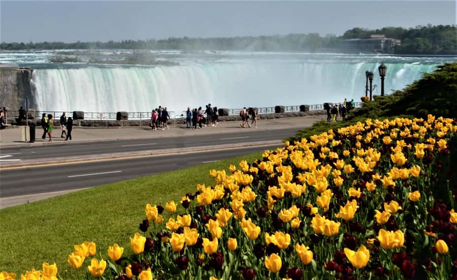 Toronto: Small-Group Niagara Falls Day Trip - Key points at a glance