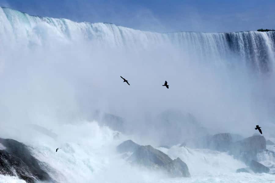 Toronto: Small-Group Niagara Falls Day Trip - Following the Niagara Parkway