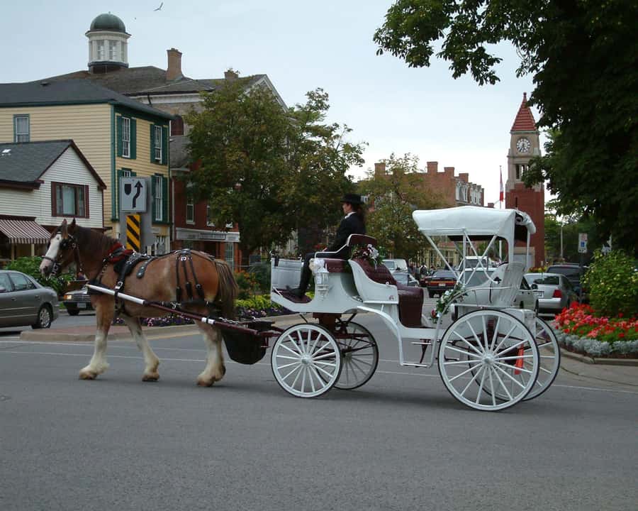 Toronto: Small-Group Niagara Falls Day Trip - Who will get the most from this day