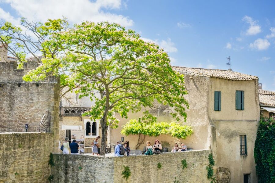 Toulouse: Carcassonne Day Trip by Coach with Audioguide - Cancellation and booking details