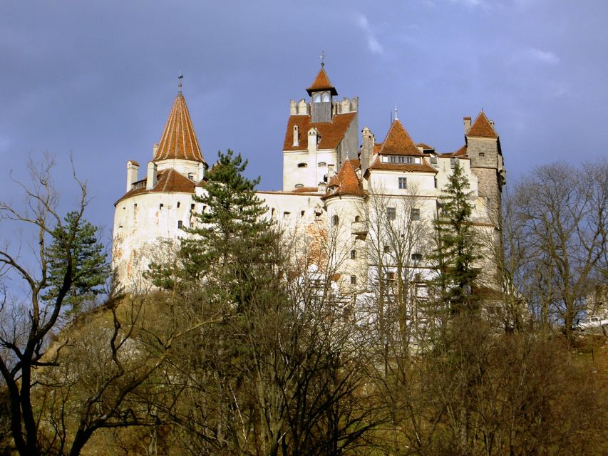 Transylvania: Cultural Full-Day Trip by Minivan - The Carpathian road is part of the experience