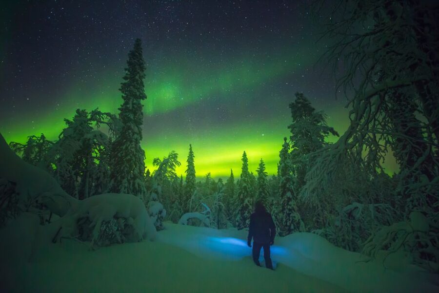 Tromsø: Reindeer Sled, Dinner, and Chance of Northern Lights - Should you book the reindeer evening?