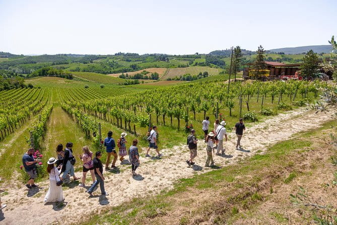 Tuscany Day Trip from Florence: Siena, San Gimignano, Pisa and Lunch at a Winery - A farmhouse lunch at Fattoria Poggio Alloro