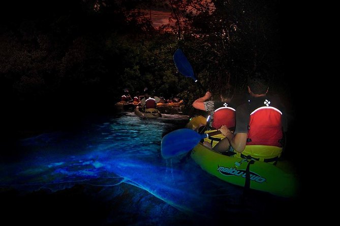 Two-in-One Day Trip: El Yunque and Bio Bay Tour with Transport - Quick points before you book