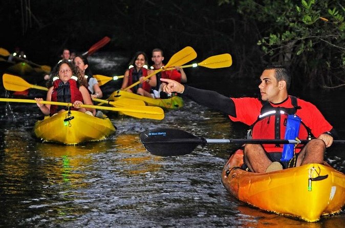 Two-in-One Day Trip: El Yunque and Bio Bay Tour with Transport - Kayaking through the mangroves to Laguna Grande