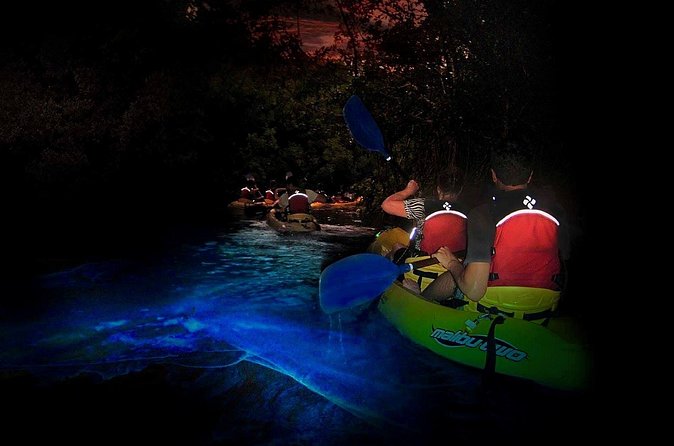 Two-in-One Day Trip: El Yunque and Bio Bay Tour with Transport - What the guide team adds to the day