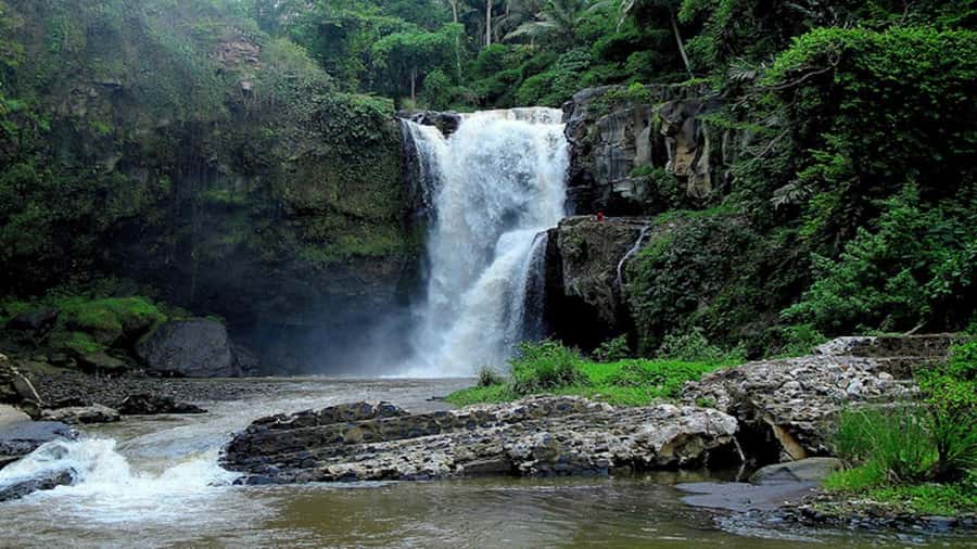 Ubud: Tegenungan Waterfall, Snorkeling, and Canyoning Tour - Weather, crowds, and backup plans