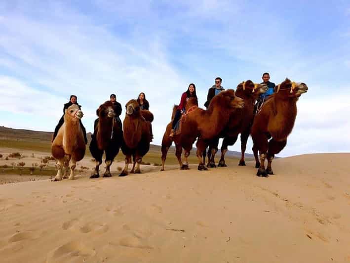 Ulaanbaatar: Semi-Gobi Desert Day Trip & Camel Ride - The scenery is worth watching between stops