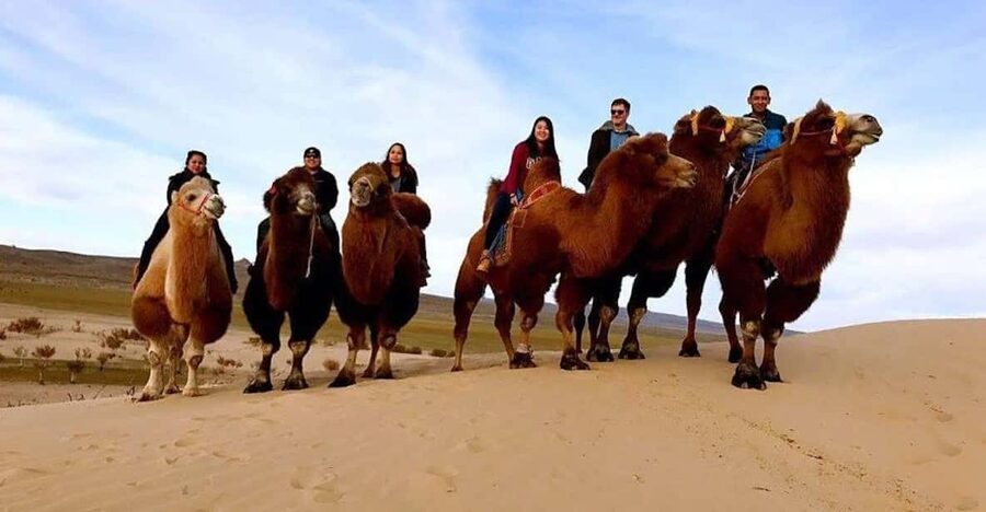 Ulaanbaatar: Semi-Gobi Desert Day Trip & Camel Ride - Lunch and a closer look at nomadic life