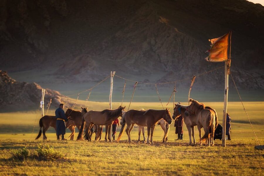 Ulaanbaatar: Semi-Gobi Desert Day Trip & Camel Ride - What the guides add to a demanding day