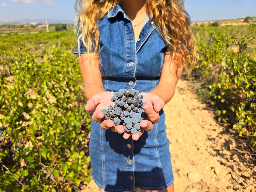 Valencia: Utiel-Requena Cave & Winery Day Trip with Tasting - Why Utiel-Requena makes a good day trip from Valencia