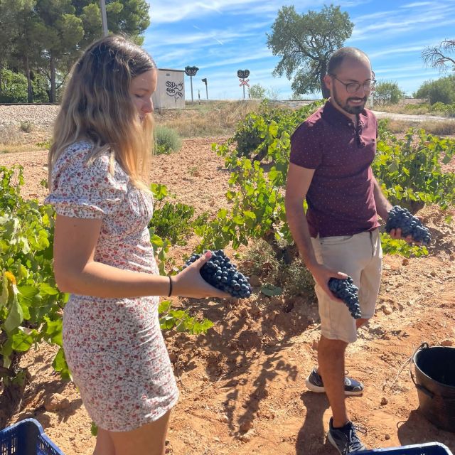 Valencia: Utiel-Requena Cave & Winery Day Trip with Tasting - A 20-minute walk through Requena