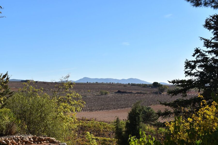 Valencia: Utiel-Requena Cave & Winery Day Trip with Tasting - What you’ll taste, and how much food to expect