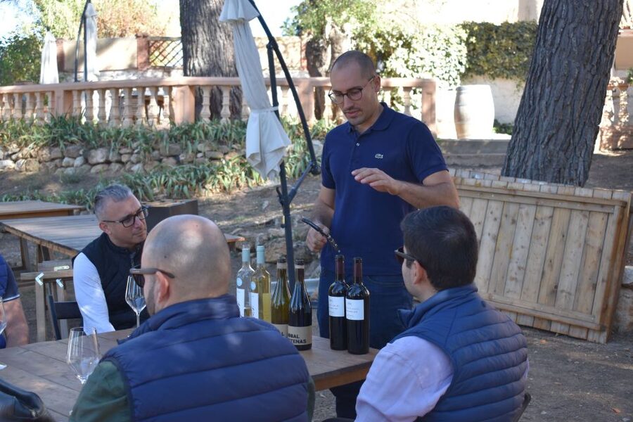 Valencia: Utiel-Requena Cave & Winery Day Trip with Tasting - The guide can shape the whole experience