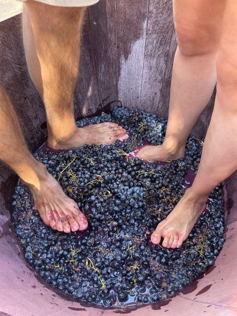 Valencia: Utiel-Requena Cave & Winery Day Trip with Tasting - Who will enjoy this wine day most