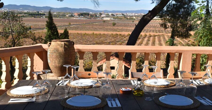 Valencia: Utiel-Requena Cave & Winery Day Trip with Tasting - Starting in Valencia and reaching Requena