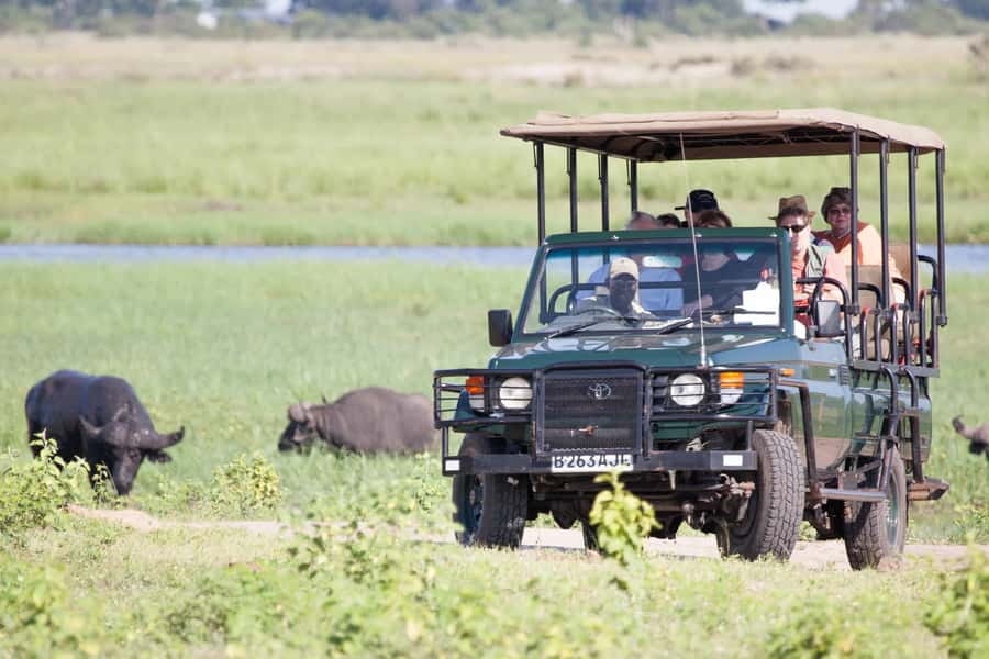 Victoria Falls: Chobe National Park Day Trip with Lunch - Why Chobe is worth adding to a Victoria Falls visit